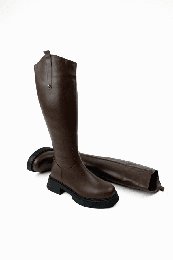 kahverengıkadınbınıcıçizmesşi1231